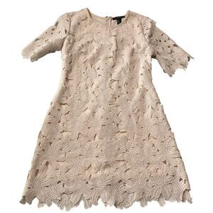 Forever 21 Lace Blush Dress MEDIUM